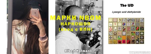 винт Белокуриха