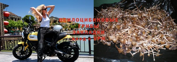 винт Белокуриха