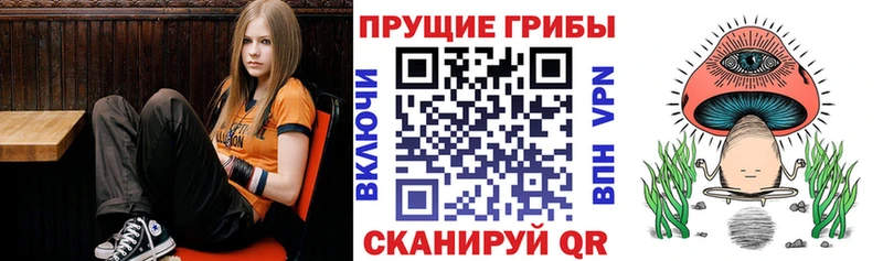 Псилоцибиновые грибы Cubensis  даркнет состав  Вуктыл 